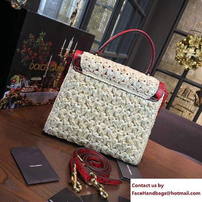 Dolce  &  Gabbana Box Bag Braided Beige/Red 2017